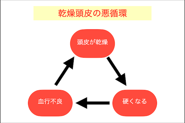 男性向け 頭皮が硬いと薄毛になるって本当 Every Color Days エブリカラーデイズ