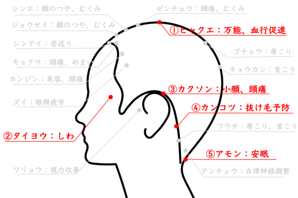 1日1押 頭皮のツボの場所と効果 Every Color Days エブリカラーデイズ