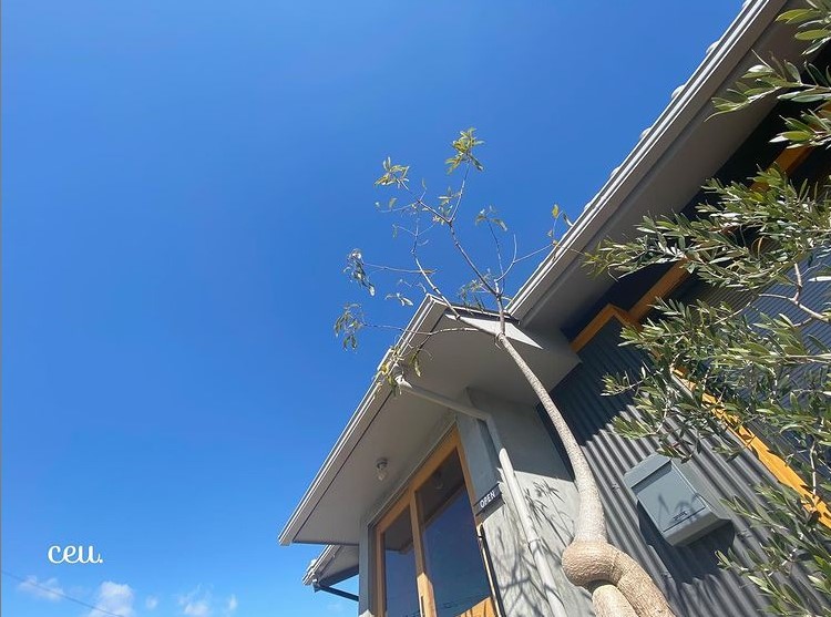 美容室 Ceu セウ Every Color Days エブリカラーデイズ