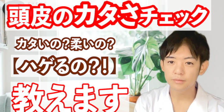 頭皮ケアに関する記事一覧 Every Color Days エブリカラーデイズ